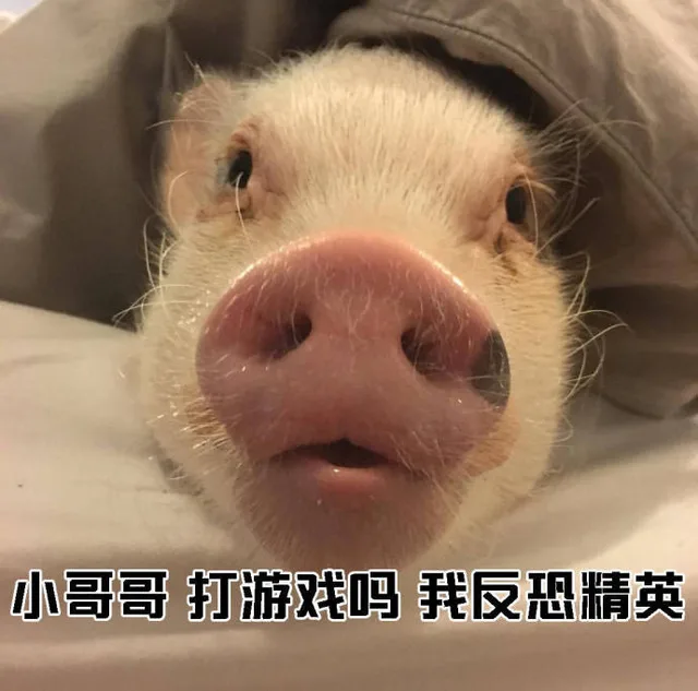 小哥哥打游戏吗我反恐精英（小哥哥打游戏吗我反恐精英）