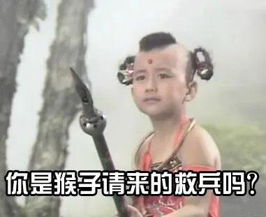你是猴子请来的救兵吗