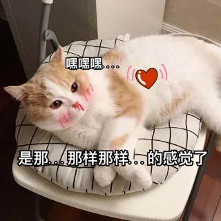 「嘿嘿嘿是那那样那样的感觉了