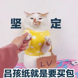 坚定吕孩纸就是要买包