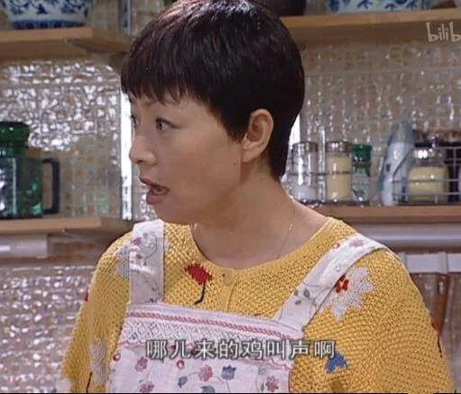 哪儿来的鸡叫声啊《加油儿女》宋丹丹（哪儿来的鸡叫声啊《加油儿女》宋丹丹）