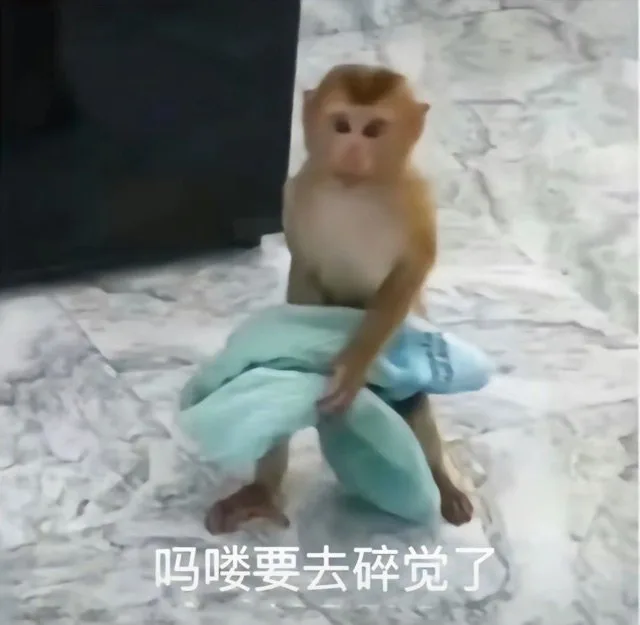 吗喽要去碎觉了（吗喽要去碎觉了）