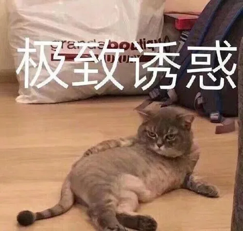 极致诱惑（极致诱惑）