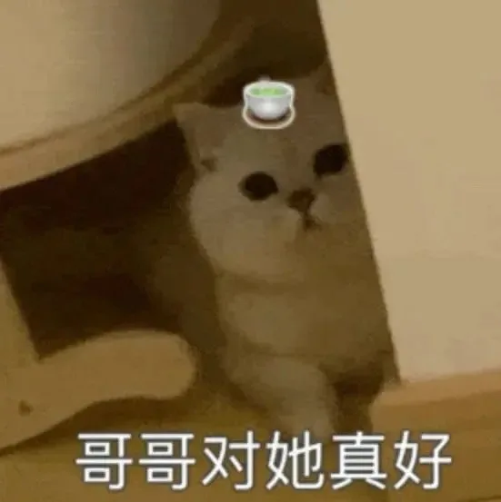 哥哥对她真好（哥哥对她真好）