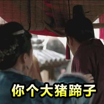 你个大猪蹄子