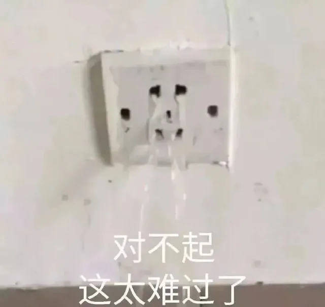 对不起 这太难过了 插座表情包