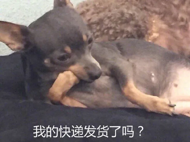 我的快递发货了吗？（我的快递发货了吗？）