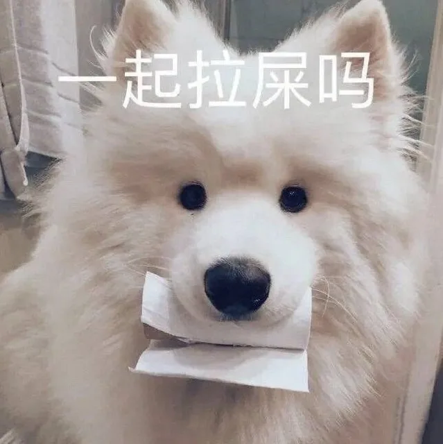 一起拉屎吗（一起拉屎吗）