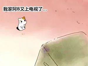 我家阿B又上电视了。。。