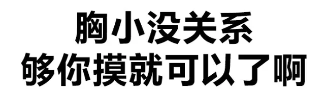 胸小没关系 够你摸就可以了啊（胸小没关系 够你摸就可以了啊）