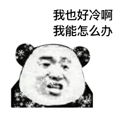 我也好冷啊，我能怎么办