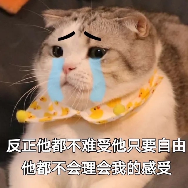 反正他都不难受他只要自由 他都不会理会我的感受