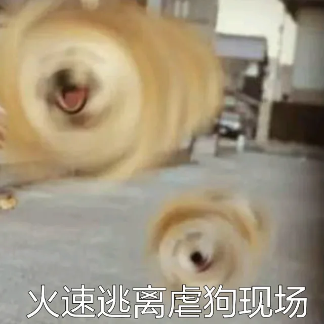 火速逃离虐狗现场
