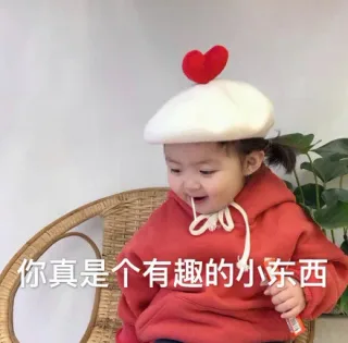 你真是个有趣的小东西