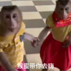 猴蜜带你去嗨(吗喽表情包)（猴蜜带你去嗨(吗喽表情包)）