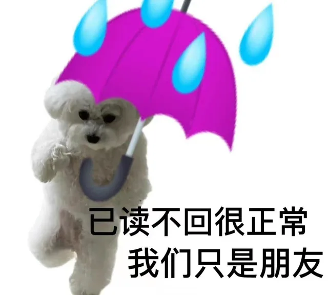 已读不回很正常我们只是朋友（已读不回很正常我们只是朋友）
