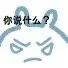 你说什么？