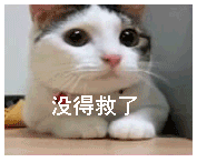 没得救了（没得救了）