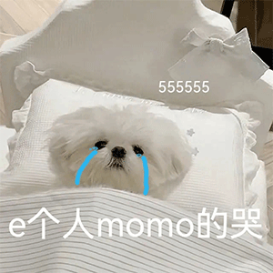 555555e个人momo的哭（555555e个人momo的哭）