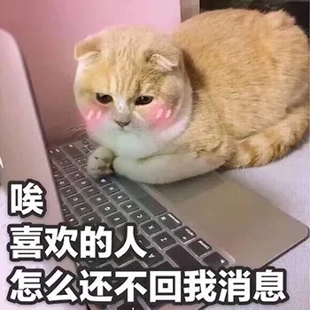 埃喜欢的怎么还不回我消息