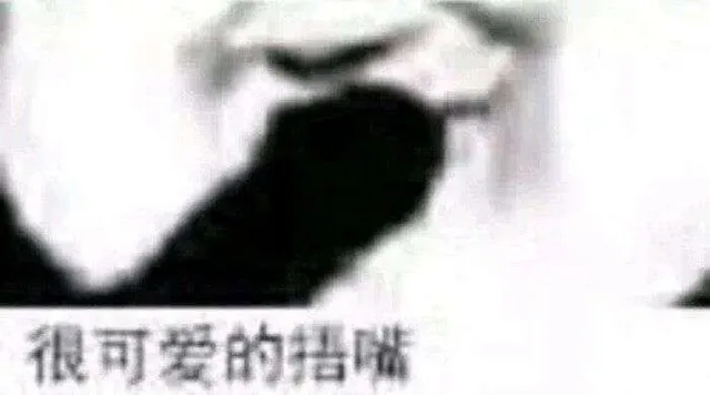 模模糊糊熊猫头