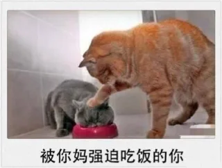 被你妈强迫吃饭的你