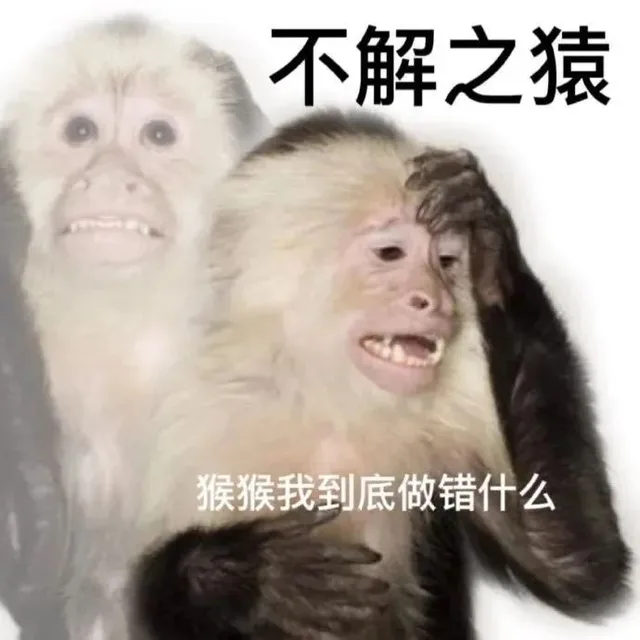 不解之猿猴猴我到底做错什么（不解之猿猴猴我到底做错什么）
