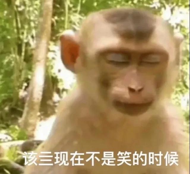 该三现在不是笑的时候(吗喽表情包)（该三现在不是笑的时候(吗喽表情包)）