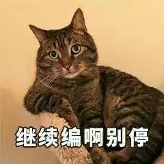 继续编啊别停