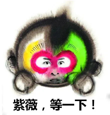 紫薇，等一下！（尔康）