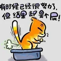 有时候已经很努力了，但结果却是个屁！