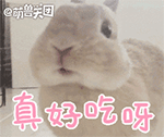真好吃呀