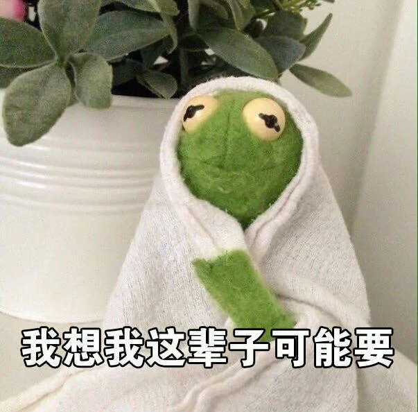 我想我这辈子可能要（我想我这辈子可能要）