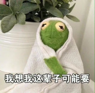 我想我这辈子可能要