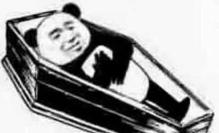 (熊猫头躺进棺材板儿里)