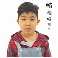 略略略（略略略）