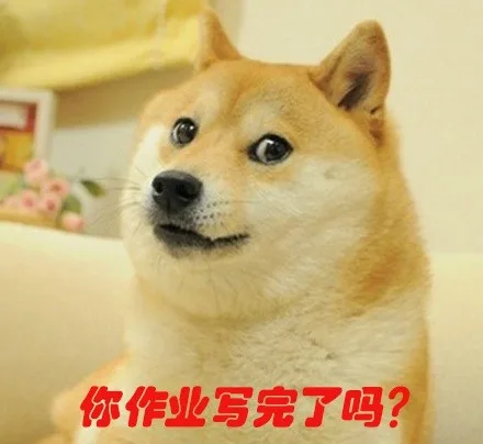 你作业写完了吗？（doge）（你作业写完了吗？（doge））