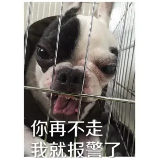 你再不走，我就报警了