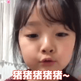 猪猪猪猪!（猪猪猪猪!）