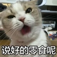 说好的零食呢（说好的零食呢）