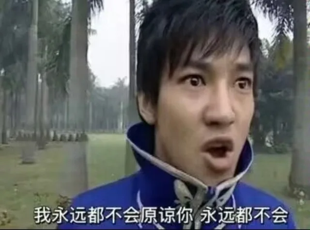 我永远都不会原谅你永远都不会（我永远都不会原谅你永远都不会）