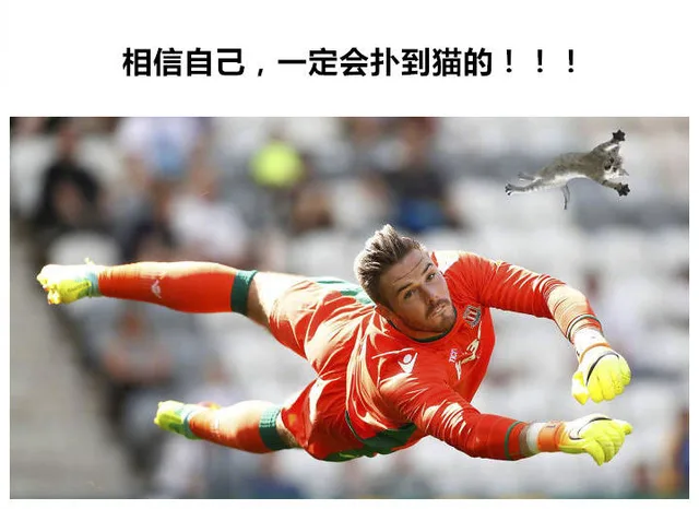 相信自己,一定会扑到猫的!!!（相信自己,一定会扑到猫的!!!）