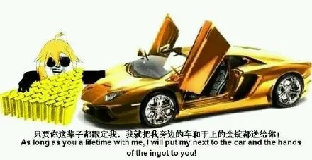 只要这辈子都跟定我，我就把我旁边的车和手上的金锭全都送给你！ （As long as you a lifetime with me, I will put my next to the car and hands of the ingot to you!）（只要这辈子都跟定我，我就把我旁边的车和手上的金锭全都送给你！ （As long as you a lifetime with me, I will put my next to the car and hands of the ingot to you!））