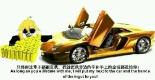 只要这辈子都跟定我，我就把我旁边的车和手上的金锭全都送给你！ （As long as you a lifetime with me, I will put my next to the car and hands of the ingot to you!）