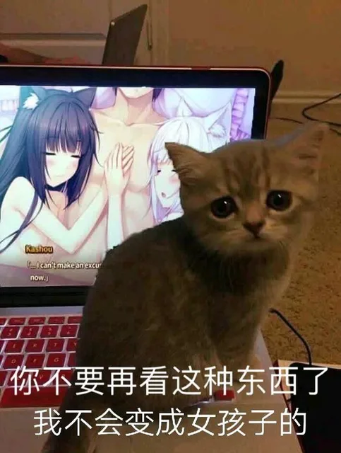 被迫营业的喵星人_猫咪