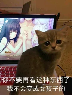 被迫营业的喵星人_猫咪