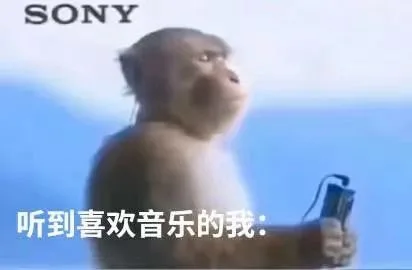 SONY听到喜欢音乐的我：（SONY听到喜欢音乐的我：）