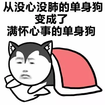 从没心没肺的单身狗 变成了满怀心事的单身狗