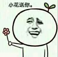 小花送你（小花送你）