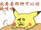 我要看那种可以动的咪咪（金馆长皮卡丘拍桌子）